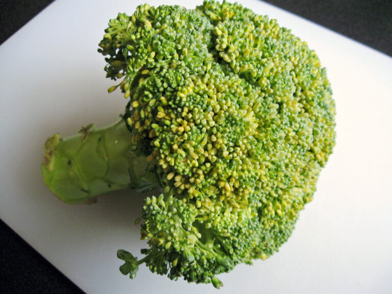 Creamy Soup of Broccoli That Turned Yellow Hiroko's Recipes