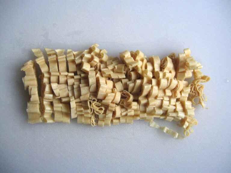 Tofu Skin Noodles Hiroko's Recipes