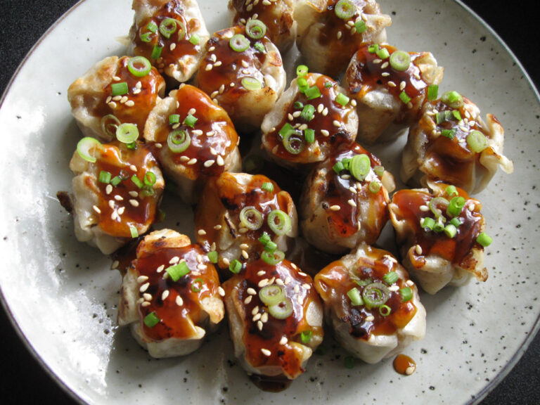 Panfried Mini Dim Sims (Shumai) with Teriyaki Sauce Hiroko